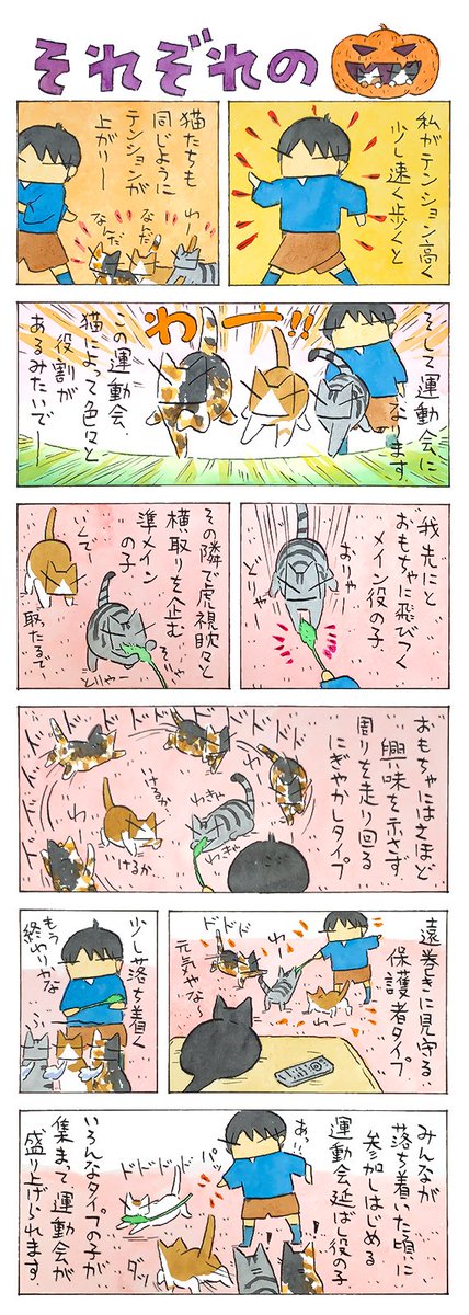 運動会まわり│フェリシモ猫部 