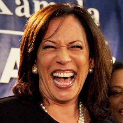 On a scale of A thru F, what grade would you give the Joe Biden/Kamala Harris administration so far?