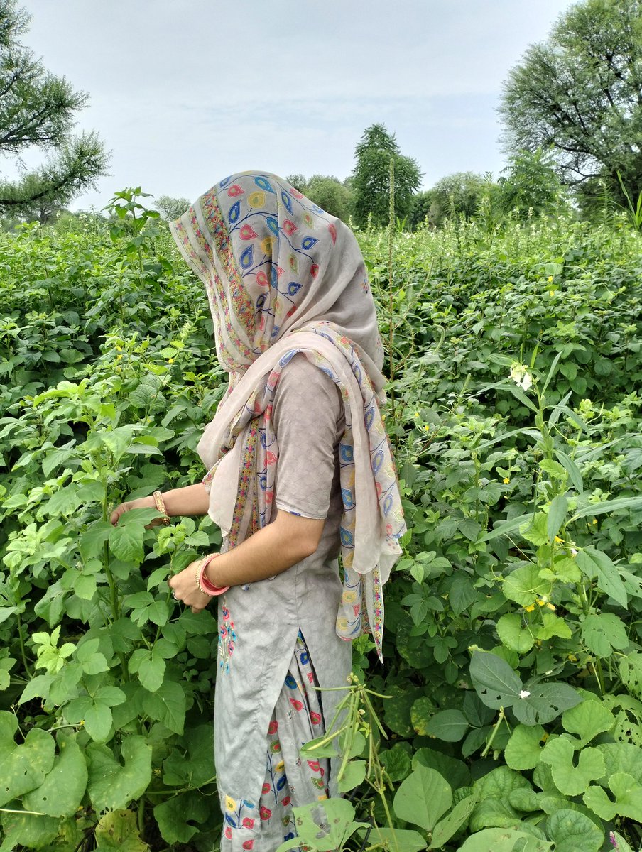 JatSarika's tweet image. आज रविवार है जैसे कि सबको पता है हर रविवार अपने @NFUofficial1 के सदस्यों को आपस में जोड़ने का प्रोग्राम रहता है ,इसके लिए इस ट्वीट को #रिट्वीट करें और रिट्वीट करने वाले आपस में एक-दूसरे को  #फॉलो कर लें🎉💞 #नेशनल_फूलचंद_यूनियन 
Follow :- @JatSarika