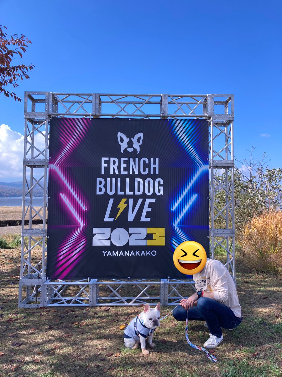 pluplulovesfb's tweet photo. 今年もフレンチブルドッグLIVEに参加しました。たくさんのフレブル見れて幸せ〜💕
 #フレブルLIVE
#FrenchBulldogLIVE2023 https://t.co/f51ibyu4oC