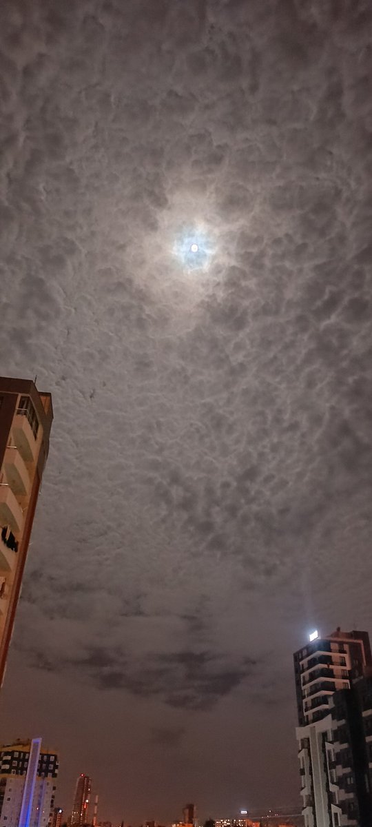 #aytutulması
#Mersin