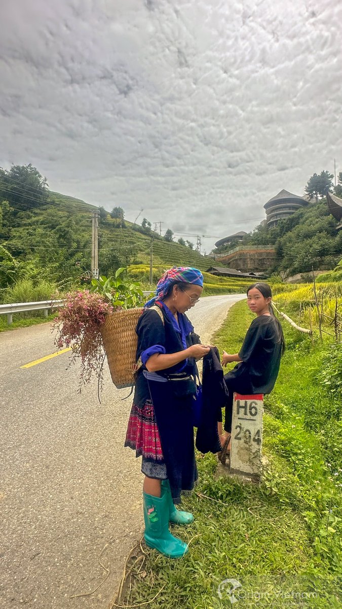 Originvietnam's tweet photo. 📷 Mu Cang Chai Photograph Tour 3 days 2 nights of Sian Irish and his wife from UK  📷
#MuCangChai #PhotographyTour #Originvietnam #OriginTravel https://t.co/37G4LPj6uG