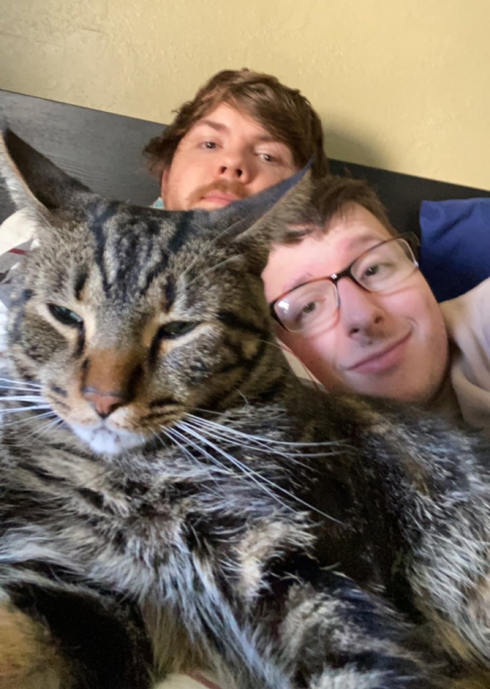 Antfrost on X: 5 years together today with my amazing partner  @VelvetIsCake!! I cant even put into words how much I love and appreciate  him, hes my world and Im so happy