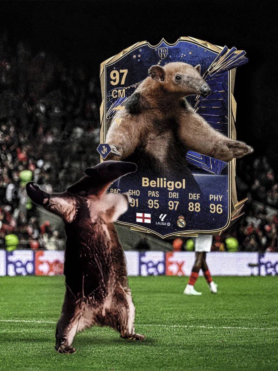 Mohammed Salah tweet media