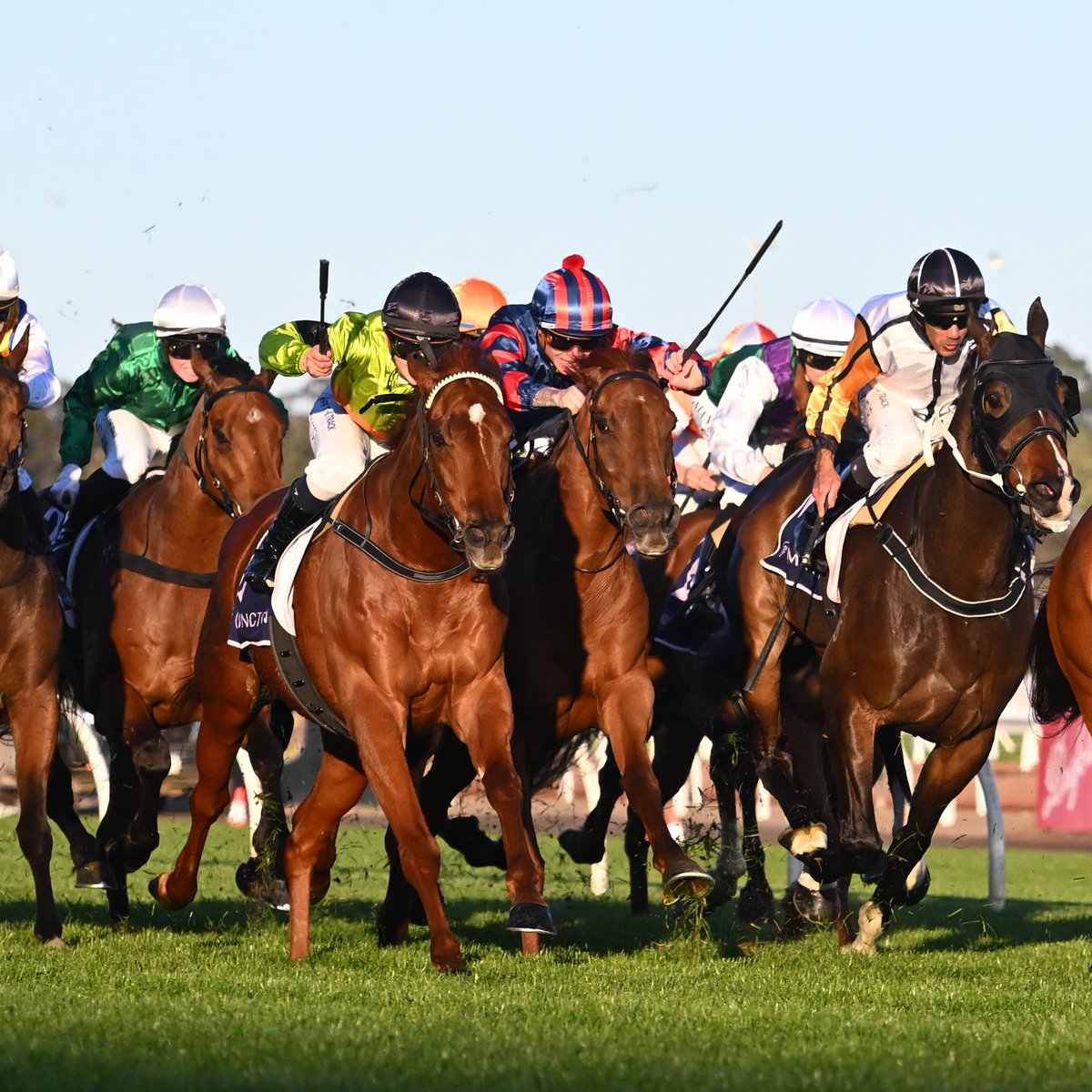 bet365_aus's tweet image. 🚨 Well-supported runners:

#SunshineCoast
R1. Commandoro $5.50👉$2.80
R5. Suite Secret $6.00👉$1.70

#Bordertown
R2. Amen $17👉$6.00

#Northam
R3. Interstate $21👉$6.50

#Taree
R1. Wicked Games $101👉$16

Markets▶️ bit.ly/3GrzHgs.

Set a deposit limit.