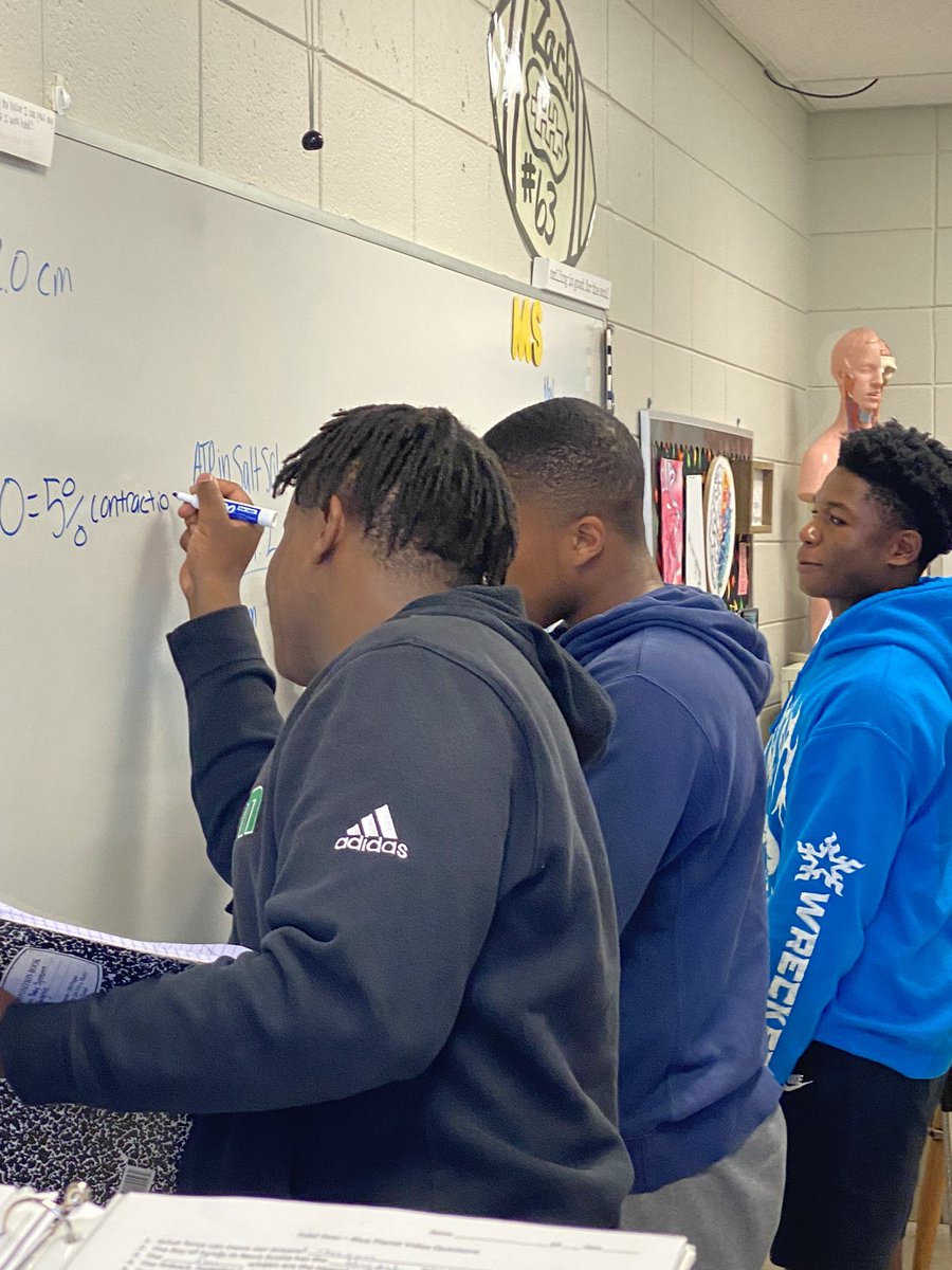 Calculating changes in muscle fiber lengths in HBS <a href="/shannonbogert1/">Shannon Bogert</a> @ThePelhamWayPRN