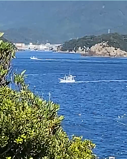 lyingBOTShm0c's tweet photo. #TaijiJAPAN🇯🇵: #DolphinHunters have found a pod of what is believed to be #MelonHeaded #Whales and driving part of the pod at great speed towards the deadly Cove, after the pod split. Awaiting developments when livestream picks up again. Heartbreak ahead no doubt 🐳🐳 https://t.co/4820PBsnd0