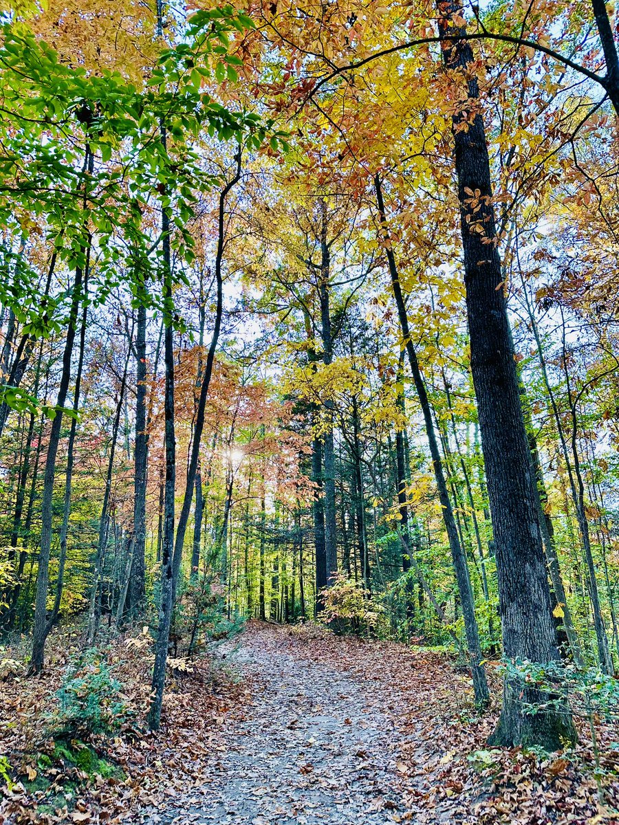 We didn’t forget our outdoor #wellness time @MayoGRIT hiking and exploring in @newrivergorge National Park. The autumn colors and weather were 💯!! The time and conversation with these ladies @Anna_BillieMD @Emglarson was uplifting and energizing ⚡️