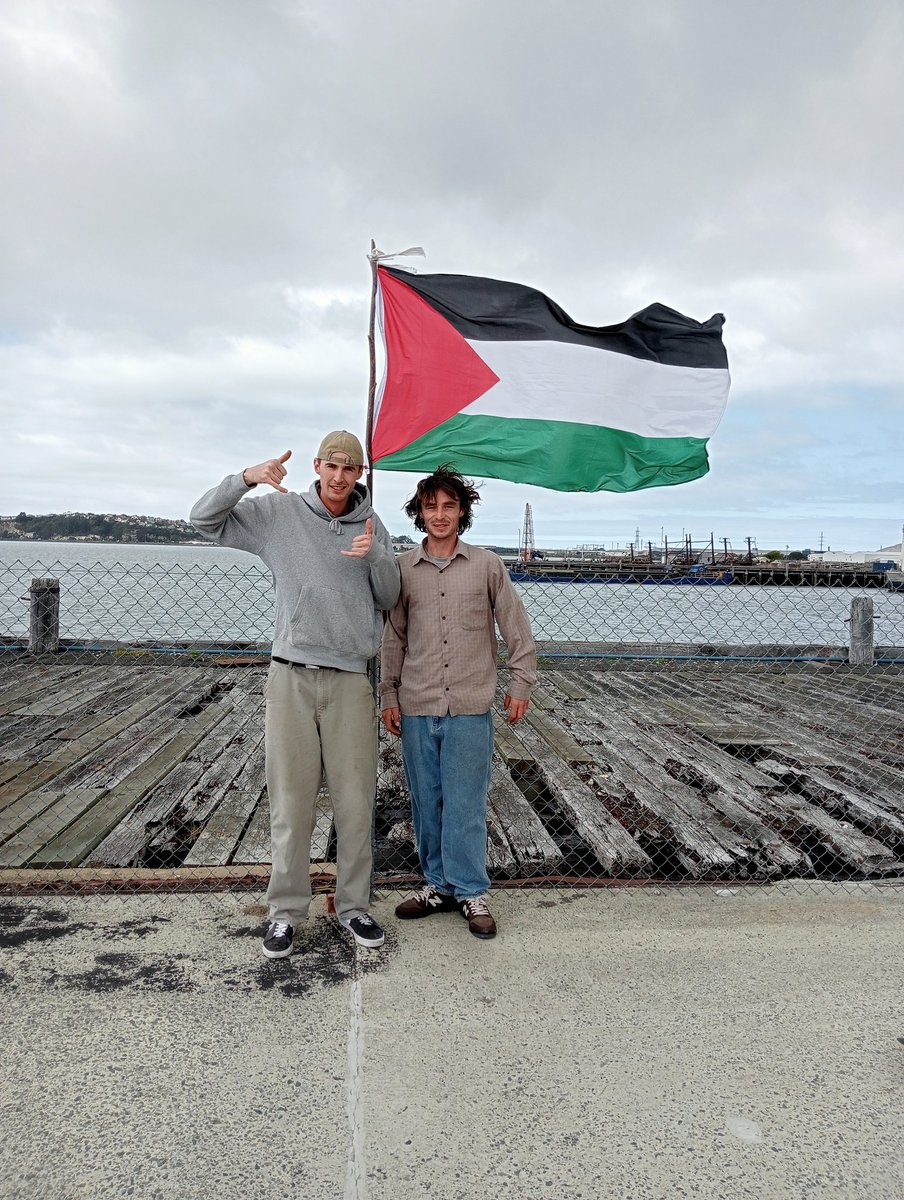 Skaters for Palestine #SkatePal #FreePalestine #CeasefireNOW