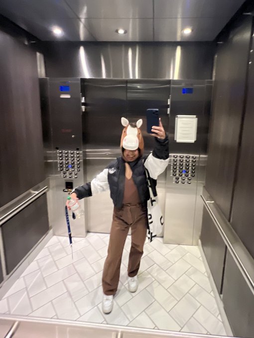 me in the elevator wearing my horse costume