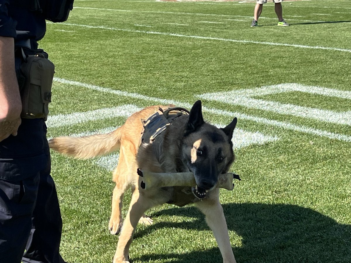 eagles393's tweet photo. Time to kick @$$ with live P.D. I like to give a shout out to the DELAWARE STATE POLICE/ NEW CASTLE POLICE for there contribution to the SPECIAL OLYMPICS Today for the fall festival that I was involved. Plus they had an amazing demonstration with there K-9 unit.🚓👮🏼🚔😀 #oplive https://t.co/3EWmvhnKkI