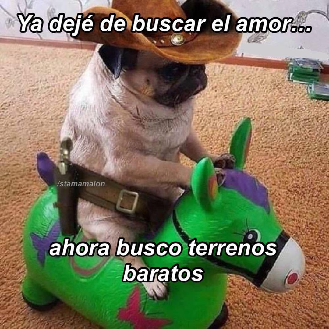 SomosSarcasmo's tweet photo. https://t.co/uNCyHsMuHe