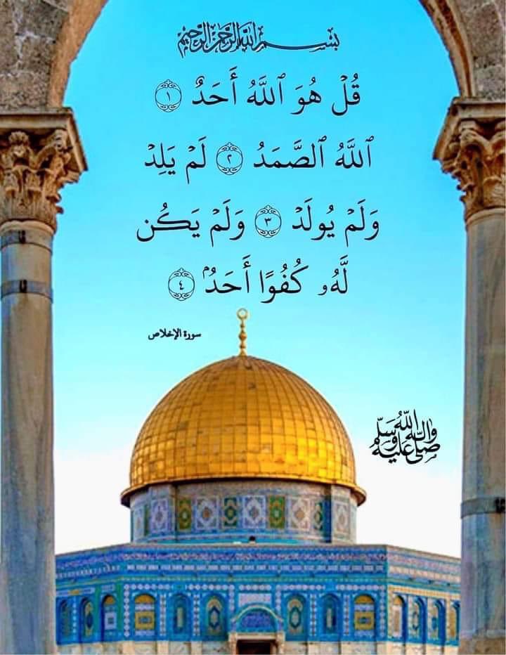 sadafsheriff35's tweet photo. السلام علیکم ورحمۃ🌹🍃

ایک ہاتھ اللّٰه کی طرف لینے کے لیے پھیلاؤ اور دوسرا مخلوق کو دینے کے لیے كھولو، عاجزى کے ذریعے اللّٰه سے لو اور سخاوت سے بندوں کو دو، عبادت كر کے اللّ��ه کے محبوب بن جاؤ اور عمده اخلاق سے مخلوق کے محبوب بن جاؤ، اسی میں دنیا وآخرت کی کامیابی ہے کیونکہ جب ہم ہر طرح سے حق ادا کر دیتے ہیں تو پھر زندگی بھی ہمیں بے انتہا ثمرات سے نوازتی ہے، پھر آپ کو کسی سے شکوہ اور شکایتیں نہیں رہتی. اللہ کریم مہربانیوں سے نوازے..!! 
آمیــــــــــن ثم آمیـــــــــــــن
یا رب العالمین ﷻ بطفیل سید المرسلین
ﷺ .🤲🌹🌹

صبح النور والسرور
#صدف_کے_موتی