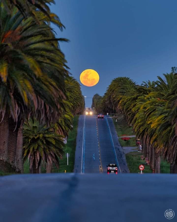 Perfecta sobre la ruta 1.
Fotografía : Pablo Temes.