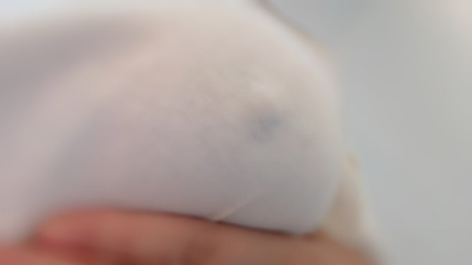 今日は排卵日です♡ https://t.co/qH3IeJg2Rc