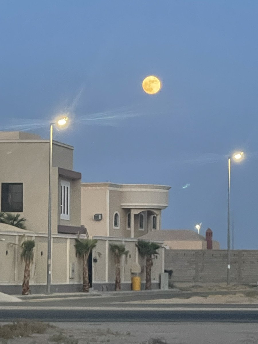 #تصويري✨✨✨28 أكتوبر✨✨✨