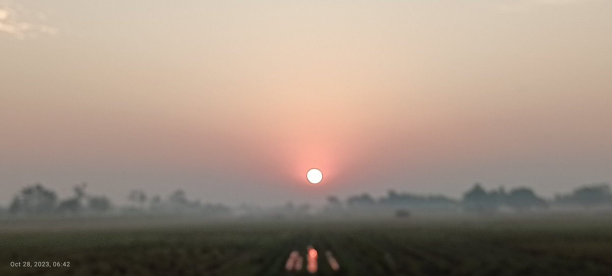 ऊँ आदित्याय विदमहे ,
दिवाकराय धीमहि ,
तन्न: सूर्य: प्रचोदयात ॥