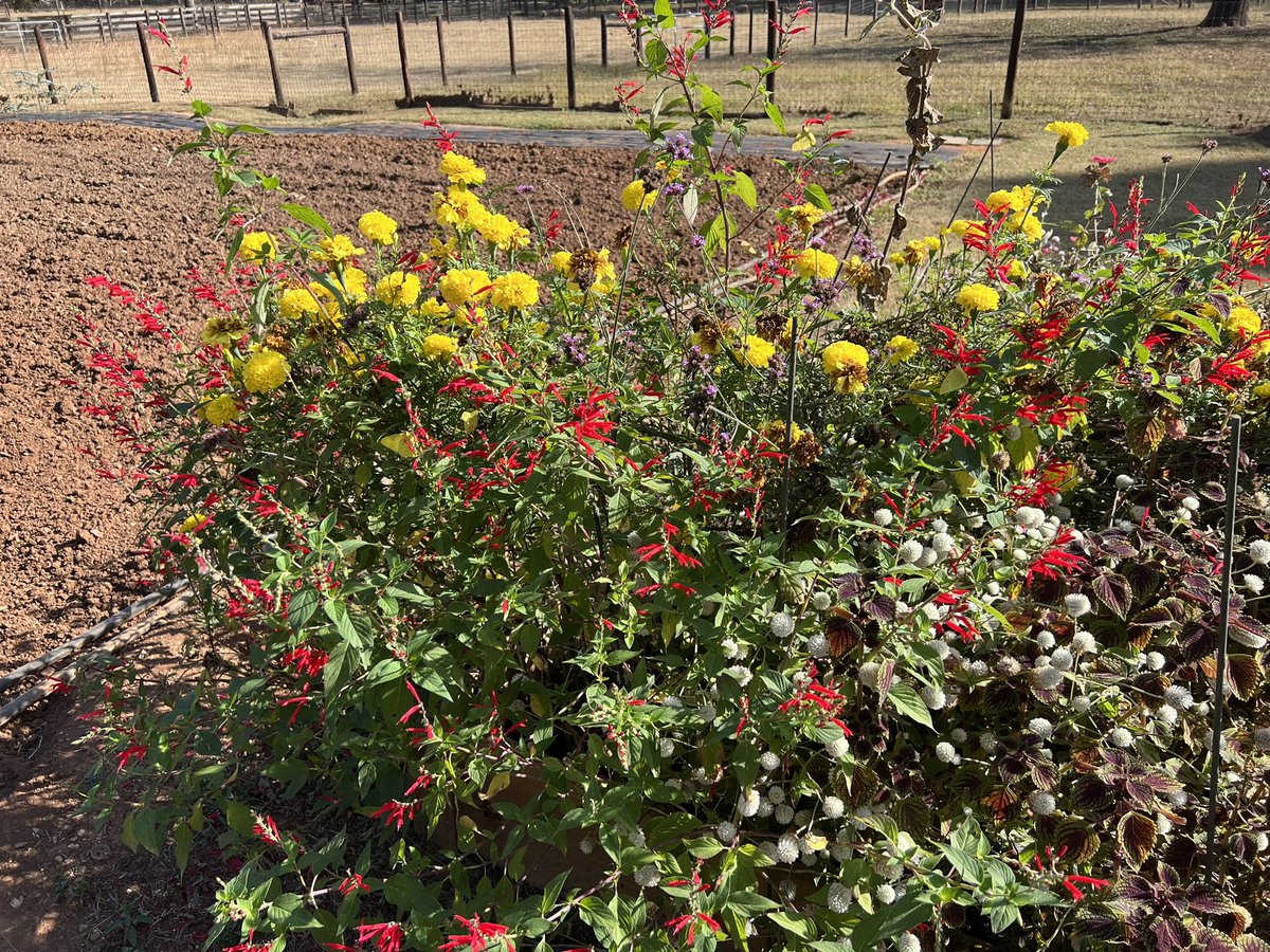 Beautiful day. Fabulous products. <a href="/1818Farms/">1818 Farms</a> thank you for a fun morning! So proud of your amazing business. #shoplocal #womeninbusiness #LIOB