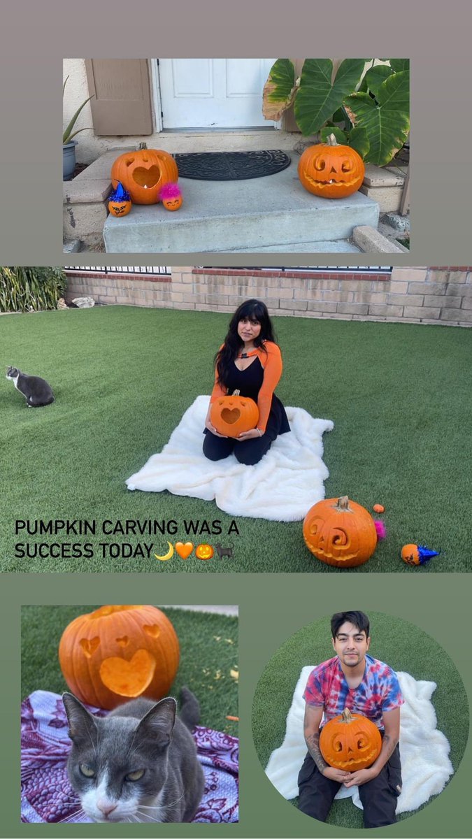 w33abooslut's tweet photo. 🥹🎃🧡🐈‍⬛🌙 https://t.co/Gd3FrxK41F