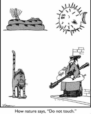 Conor Lastowka tweet media