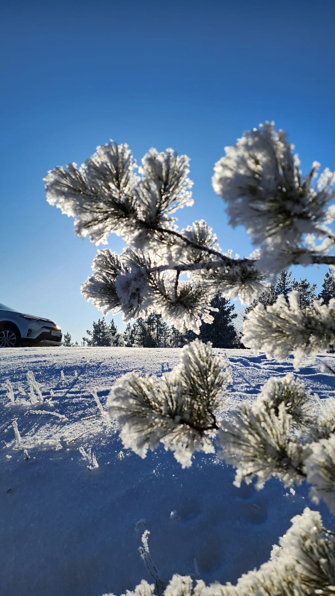 What's up? What's your weather like