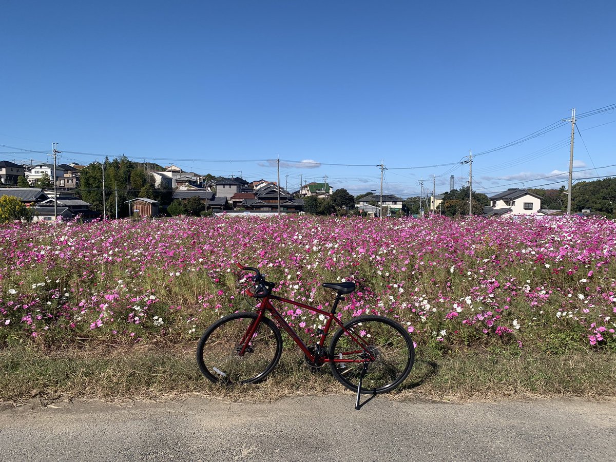 masayuki_ninja's tweet photo. 途中、風景を楽しみながらのんびりサイクリング😄✨ https://t.co/DNuJxgDeaI