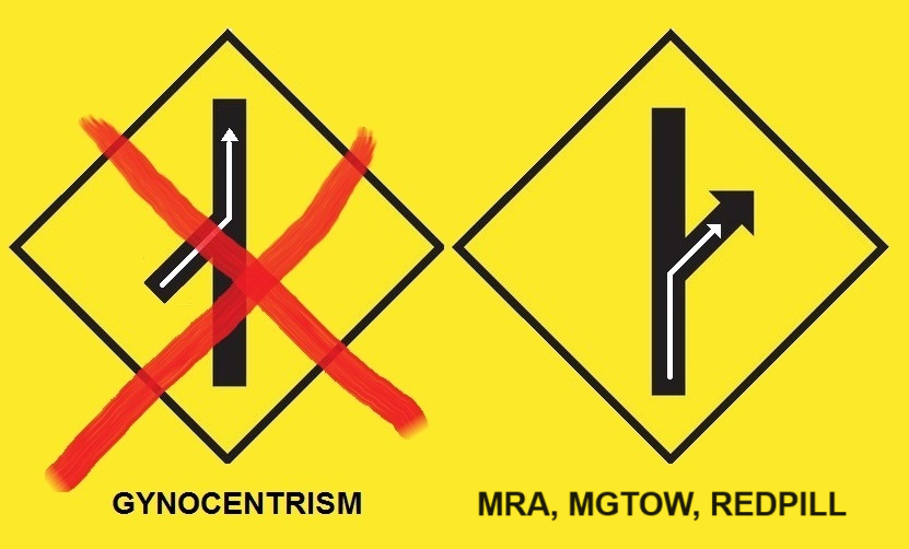 Gynocentrism's tweet photo. @RealPaulElam For those who are slow on the uptake: https://t.co/4cYqm5bRih