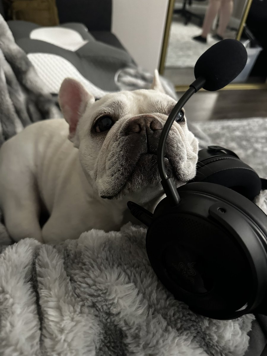 vanessa snee tweet media