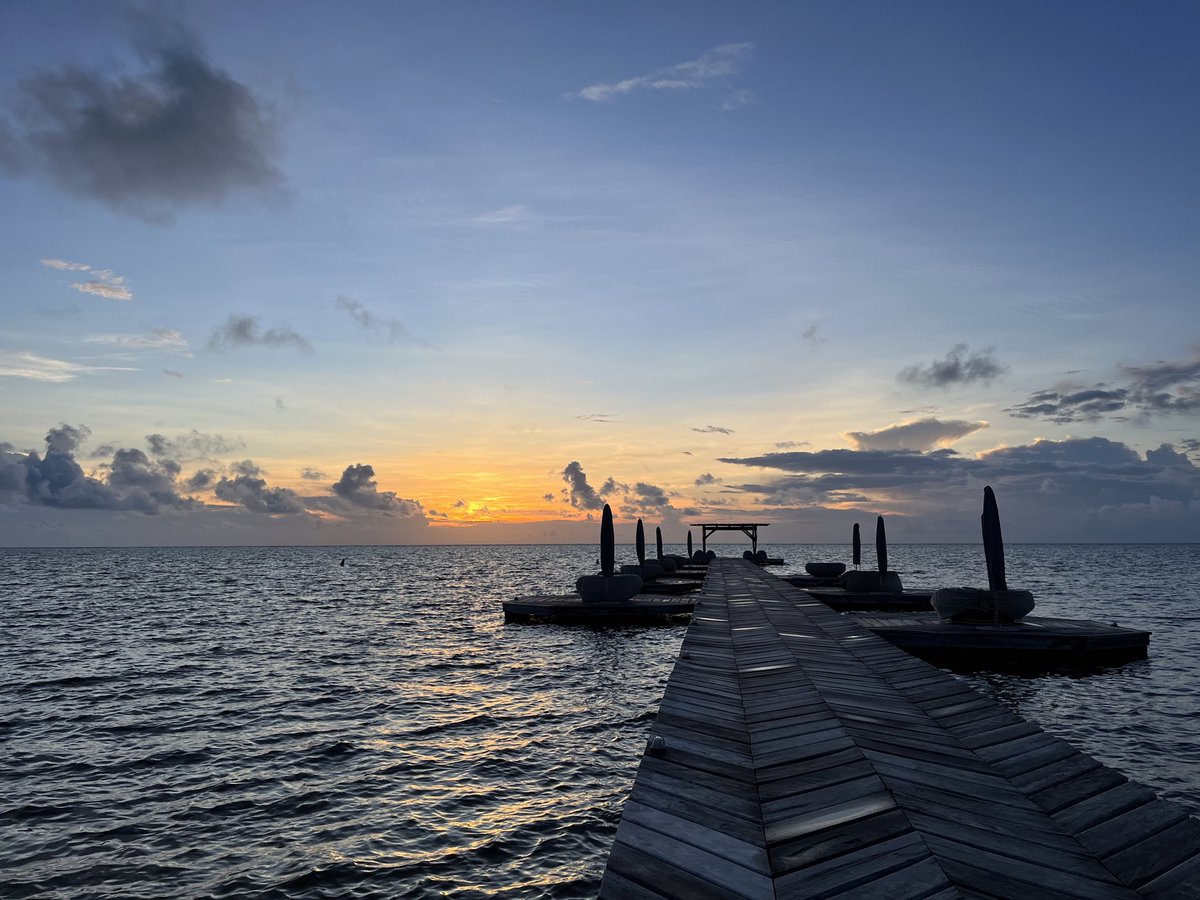 Kristina Klauser tweet media