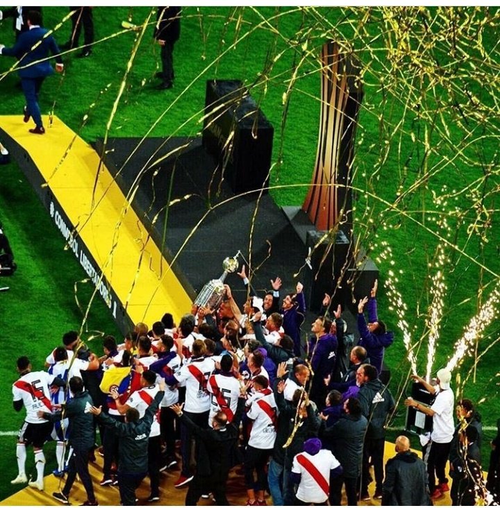 "La copa que perdieron las gallinas..."

🤫