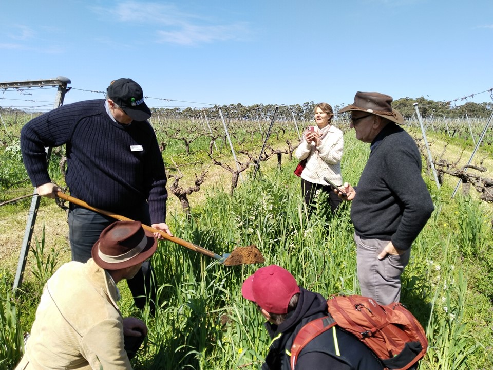 Mick Davis tweet media