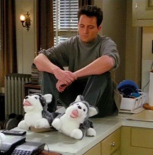 ToIkienverse's tweet photo. Matthew Perry fue un hombre que batalló con muchas adicciones, entre ellas el alcoholismo y las drogas y solo pensar que murió mientras se estaba rehabilitando y recuperando su vida me rompe el corazón en mil pedazos. Matthew Perry te merecías mucho más. Nunca te vamos a olvidar. https://t.co/x8XJc0snBz