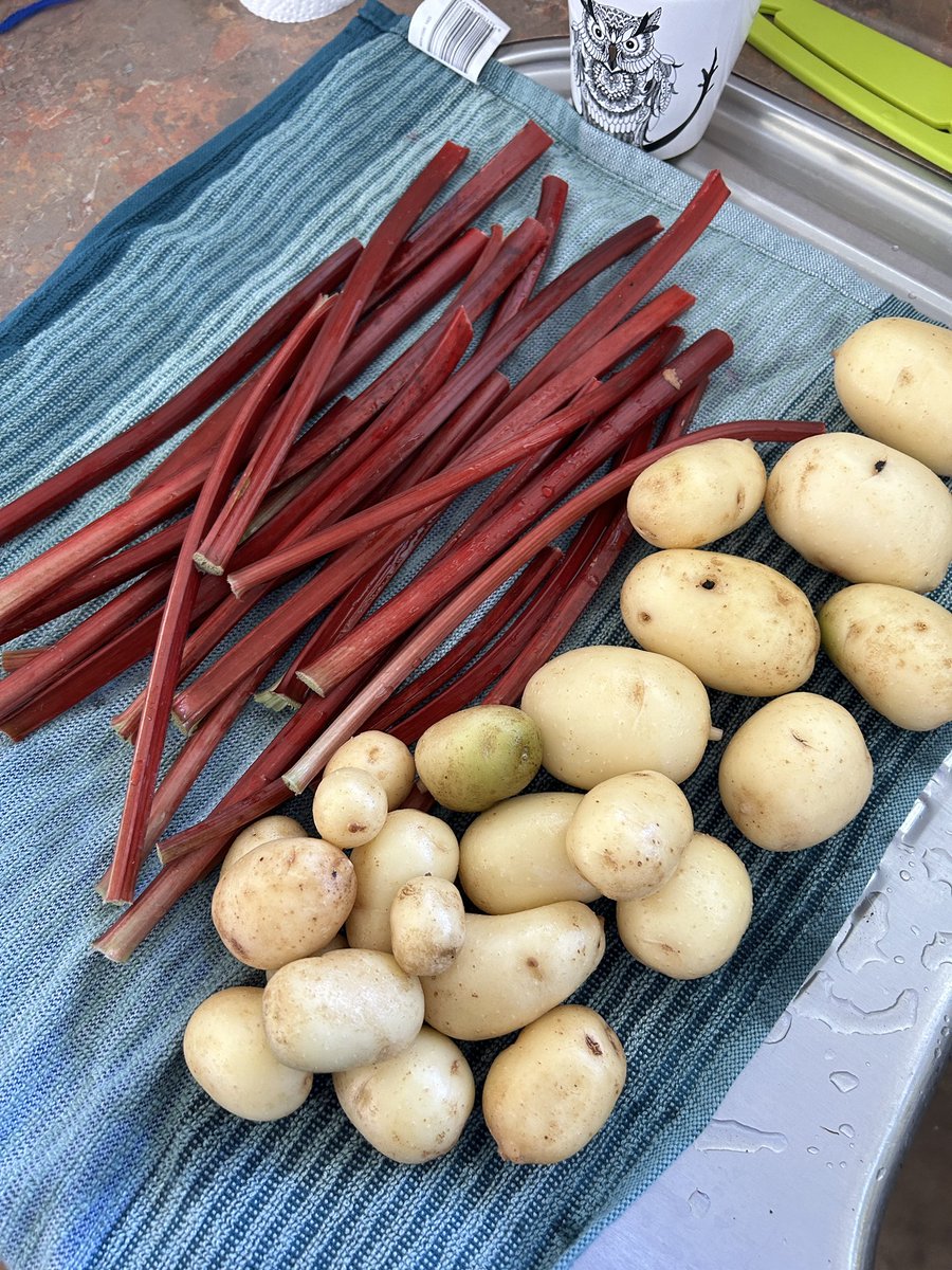 closclouds's tweet image. I purchased my first house and move in day was finally here a few days ago! Here’s a snapshot of the past few days 🥰