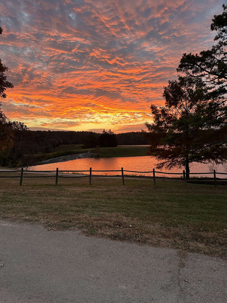 Jennifer Albers tweet media