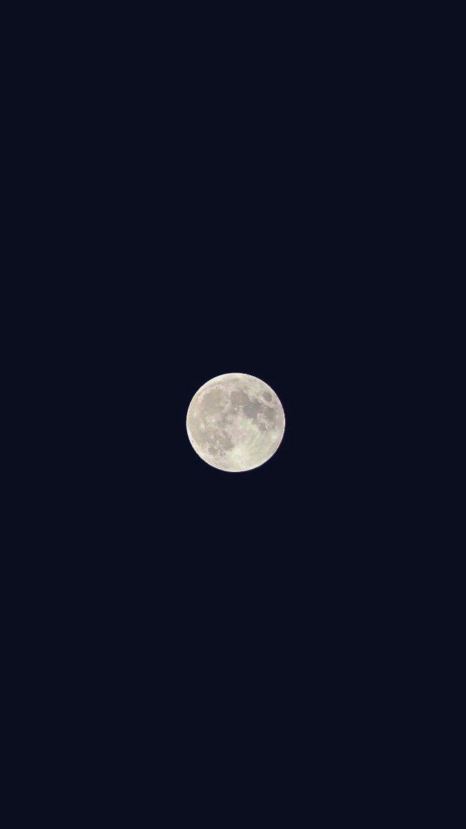 Dogi_studio's tweet photo. 🌕 https://t.co/2K8JTQqoCJ