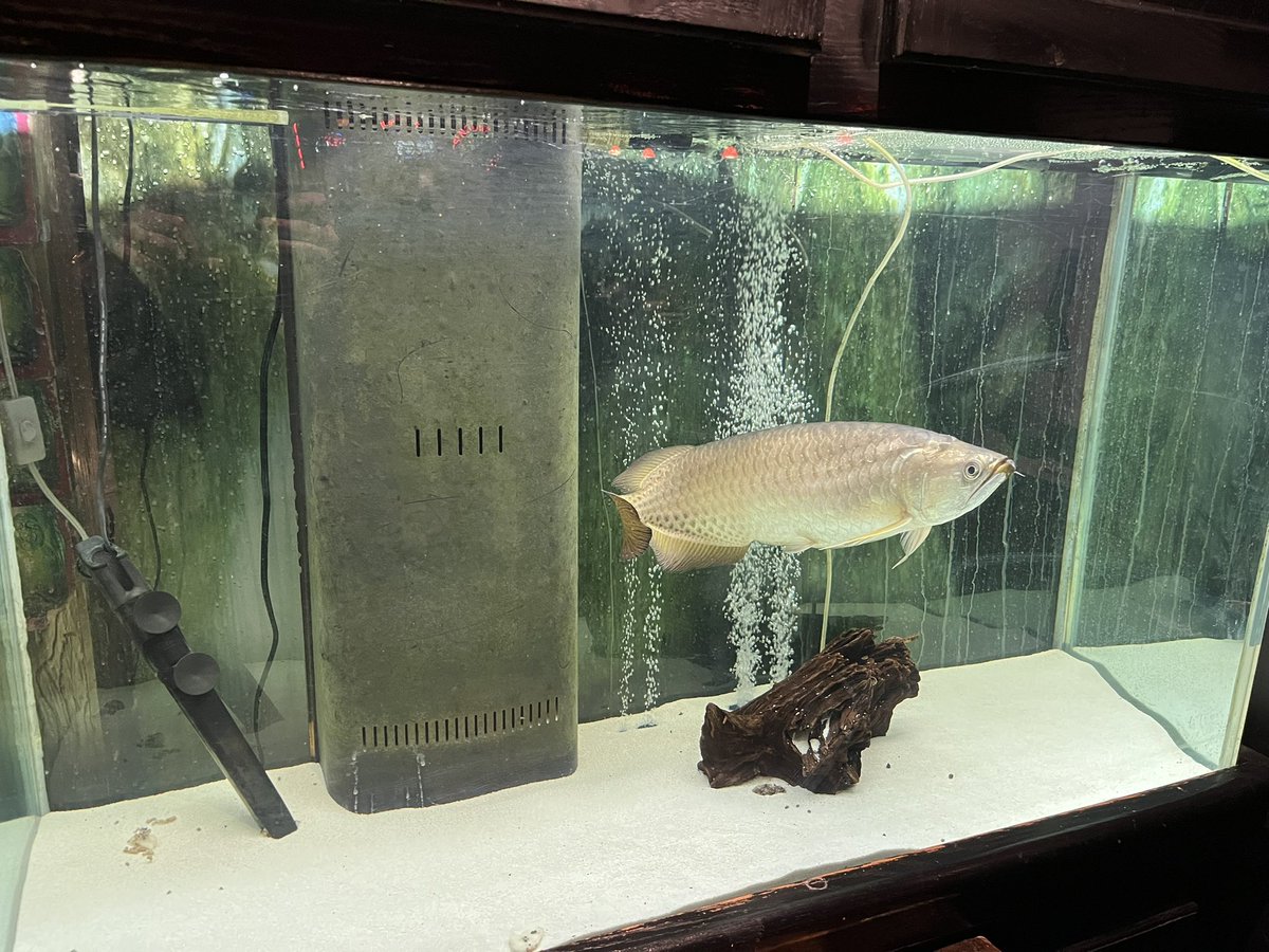 WeekdayGenius's tweet image. Men, when left to their own devices, will live a life in which their homes are furnished minimally