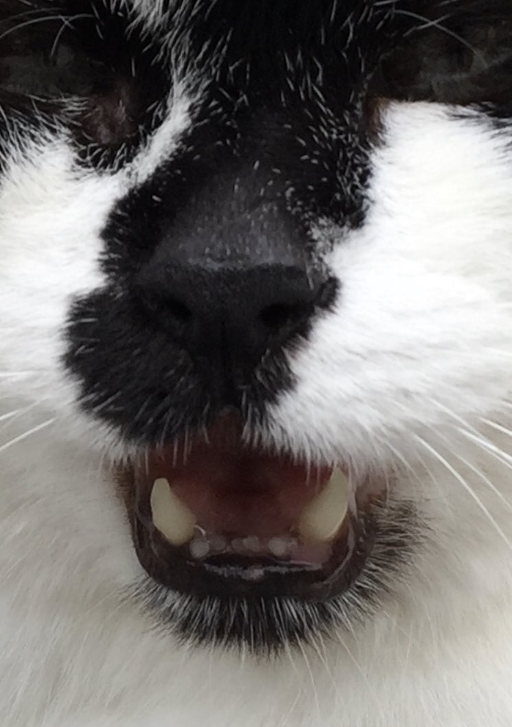 Vern Fisher tweet media