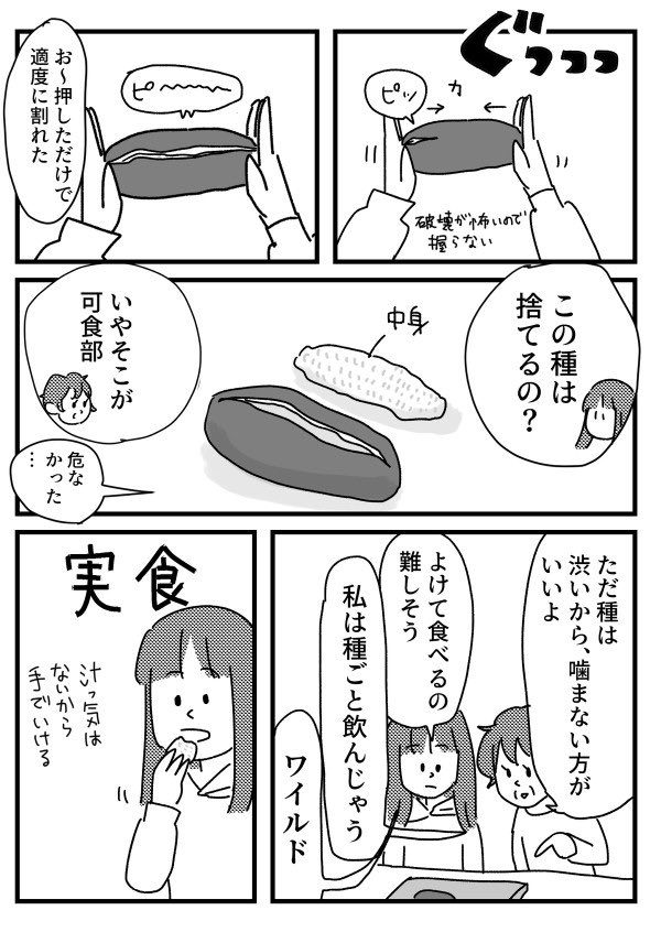 アケビ初めてたべた 【再掲】1/2