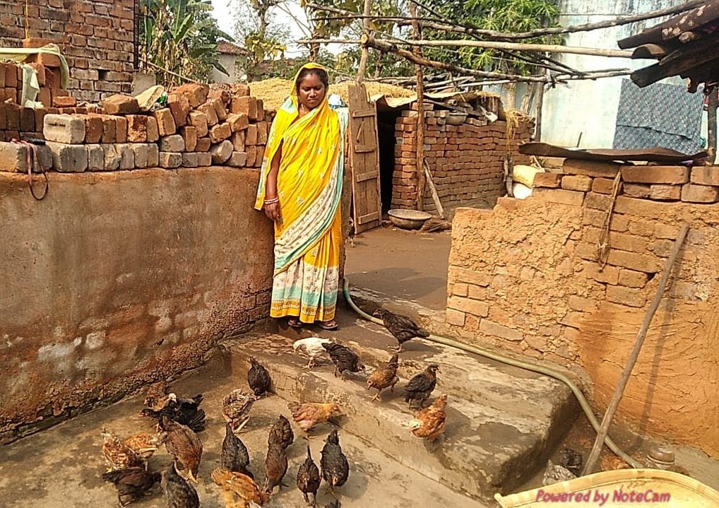 DfoSundargarh's tweet image. Empowering Women Through Poultry Farming: A Success Story of Sundargarh Forest Division
492 dedicated women of Ujalpur FMU, representing 48 SHGs, 1 CIG &amp;amp; 1 PoP from 18 VSS, who took poultry farming taking a loan of Rs. 25.60 lakhs through Revolving Fund.(1/n)
#OFSDP
@ForestDeptt