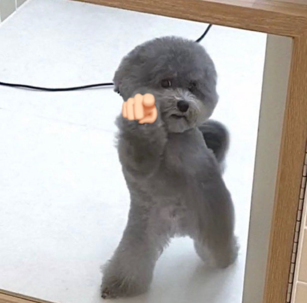 Saya mencium aroma kemenangan, tolong segera telpon BMKG Manchester! 🫵🏻

#Blibli <a href="/bliblidotcom/">Blibli</a>