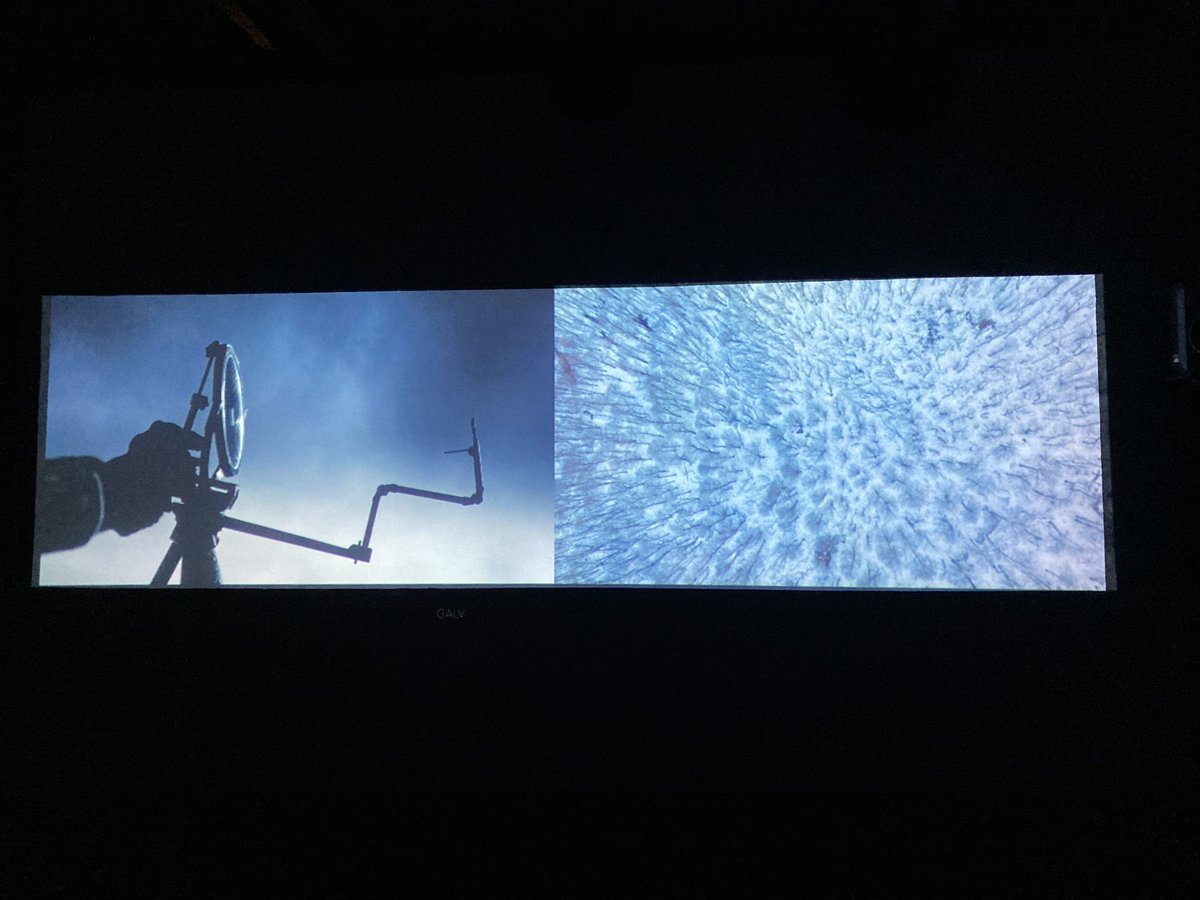 Banyak anak muda mendatangi tempat pameran dan fokus selfie/wefie 
Secara kuantitas pengunjung pameran bertambah tapi secara kualitas tidak banyak yang menikmati karya seni (bahkan banyak yang melewatkan membaca caption tentang karya)  

Pameran semakin terasa menjadi wahana