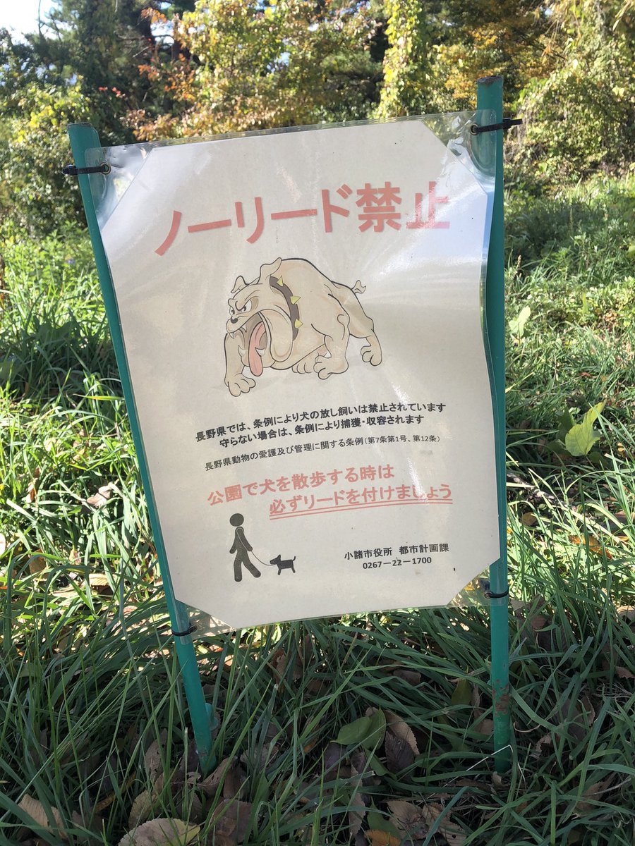 Beyoppy's tweet image. 