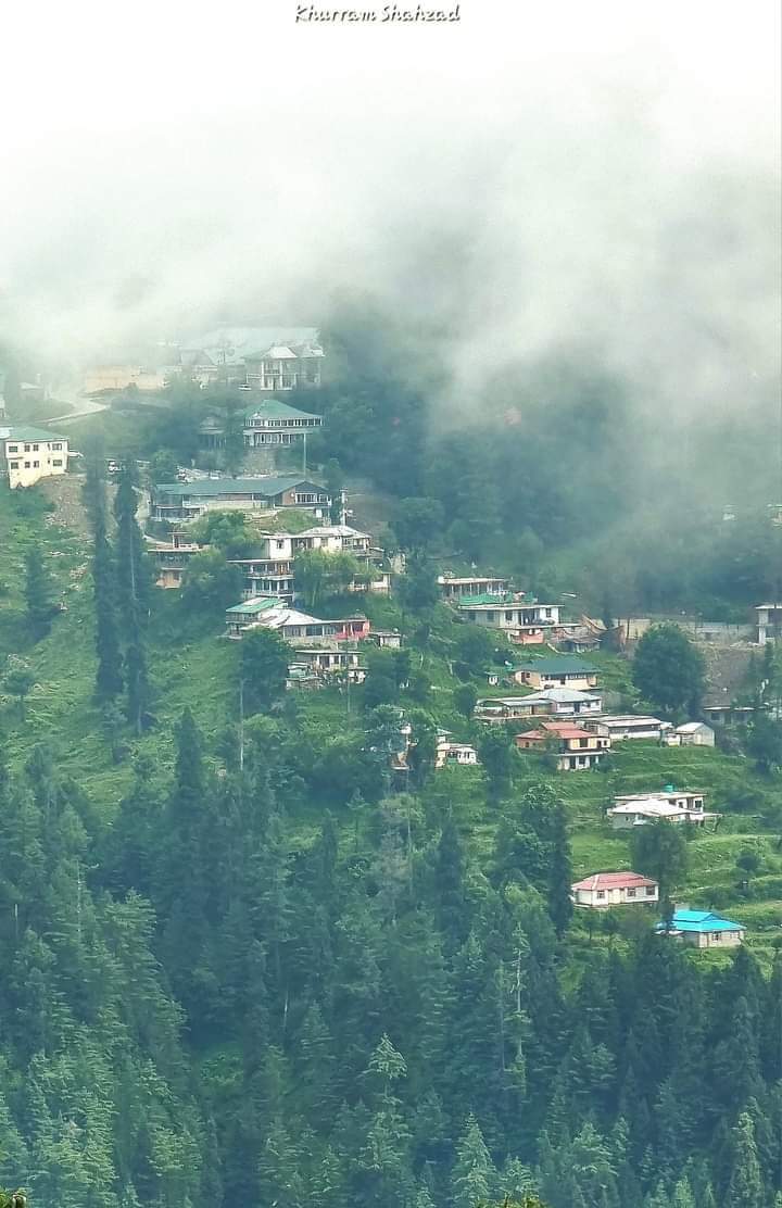 The beautiful Galiyaat Abbottabad.