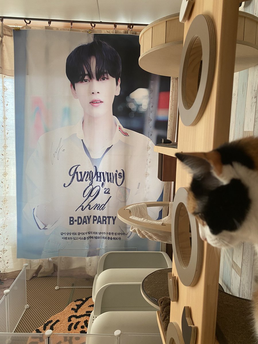정현이 싸인 현수막😄장소는 좀…하지만 최애장소💕가장 많이 시선 가는 곳🥹핫! 플레이스❤️HBday…고맙습니다!
#JUNGHYUN  #정현 #코히 #HBD #레이디