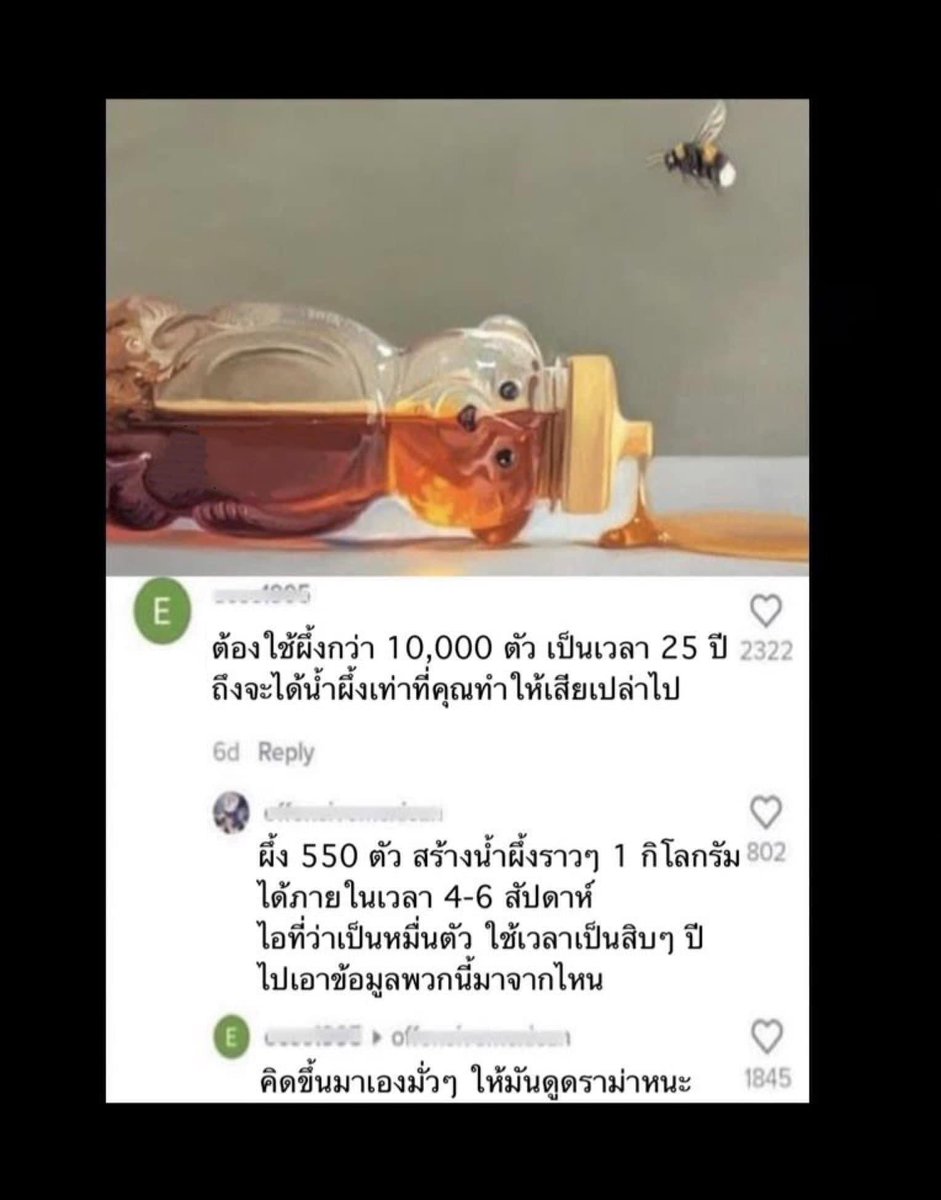 qt pie , (@532am_) on Twitter photo 