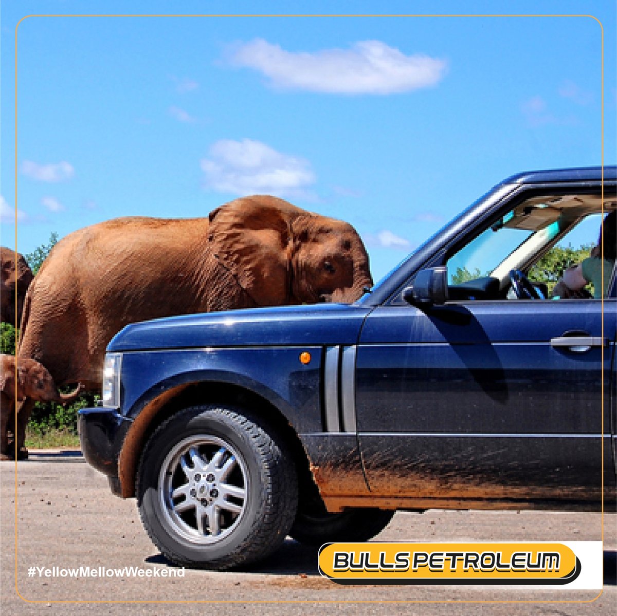 BullsGas's tweet photo. Saturdays are for traveling, having fun, and creating lasting memories.
Have fun today, enjoy the journey and stay safe always!
#YellowMellowWeekend https://t.co/9p2kfwQuLw