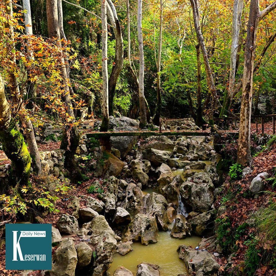 صباح الخير من #يحشوش
#KeserwanDailyNews #KDN
📷 Pere Shadi Beshara