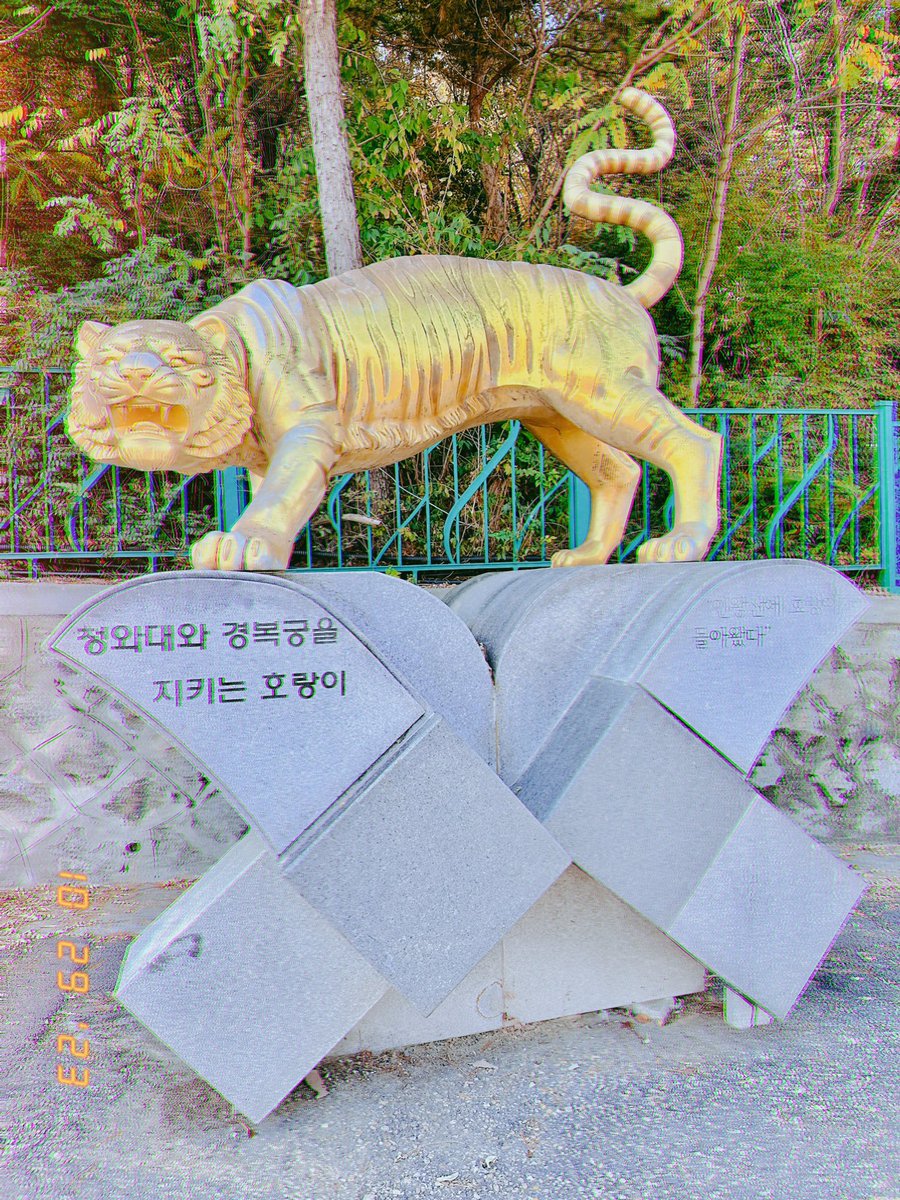 17__STAR's tweet photo. 호시봄 https://t.co/WH1U7TFY7k