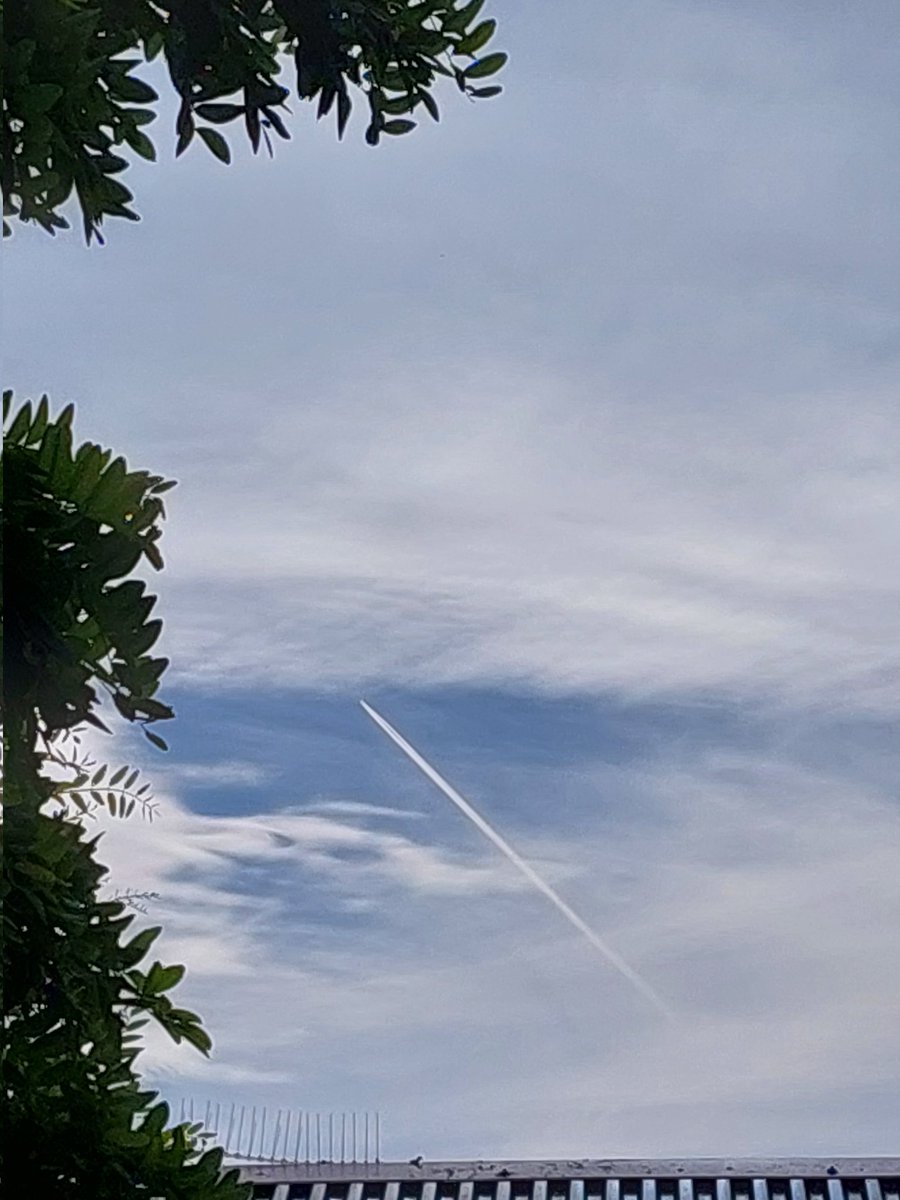 RealFaceHarris's tweet photo. @Gia144000 @SenatorRennick @SenatorHanson @MRobertsQLD And today, a shitty white blanket and then they keep going.......4:30pm https://t.co/NximSQu8IB