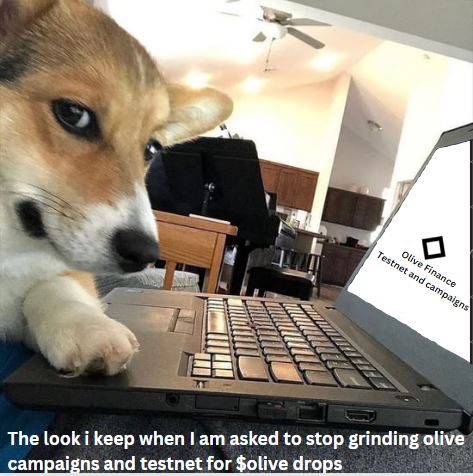 yul_pops's tweet image. Exciting news for all DeFi enthusiasts! 🚀 Join the @0xolive V2 Incentivised Testnet and be a part of the future of decentralized finance.

Get 1 OAT &amp;amp; 100 Points to kickstart your journey.

#OliveLYF #OliveTestnet #OliveFinance #OliveV2 #LYFeMadeEasy